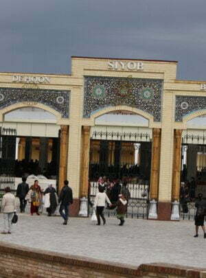 Ochiq mushukning yaqindan surati Shirali mushuklar bilan HD porno